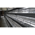 Jinfneg a Type Automatic Chicken Cage System